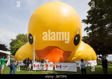 Brockville, Ontario, Canada. 10 août, 2017. Le plus grand canard en caoutchouc gonflables, Maman canard, est gonflé sur l'île Blockhouse à Brockville, en Ontario, le 10 août 2017. Credit : Lars Hagberg/ZUMA/Alamy Fil Live News Banque D'Images