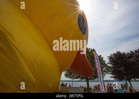 Brockville, Ontario, Canada. 10 août, 2017. Le plus grand canard en caoutchouc gonflables, Maman canard, est gonflé sur l'île Blockhouse à Brockville, en Ontario, le 10 août 2017. Credit : Lars Hagberg/ZUMA/Alamy Fil Live News Banque D'Images