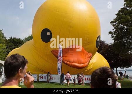 Brockville, Ontario, Canada. 10 août, 2017. Le plus grand canard en caoutchouc gonflables, Maman canard, est gonflé sur l'île Blockhouse à Brockville, en Ontario, le 10 août 2017. Credit : Lars Hagberg/ZUMA/Alamy Fil Live News Banque D'Images