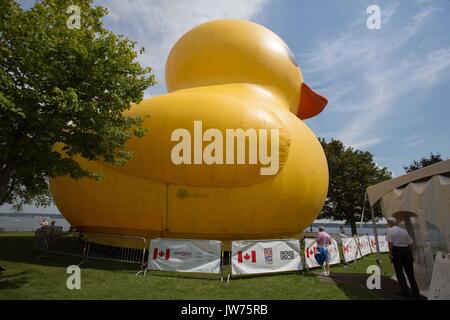 Brockville, Ontario, Canada. 10 août, 2017. Les gens regardent Maman canard, le plus gros canard en caoutchouc gonflables, sur l'île Blockhouse à Brockville, en Ontario, le 10 août 2017. Credit : Lars Hagberg/ZUMA/Alamy Fil Live News Banque D'Images