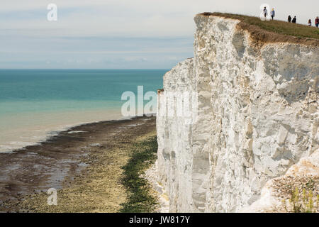 Les falaises de craie blanche près de Beachy Head à Eastbourne, East Sussex, Angleterre.avec les gens à marcher le long des falaises. Banque D'Images