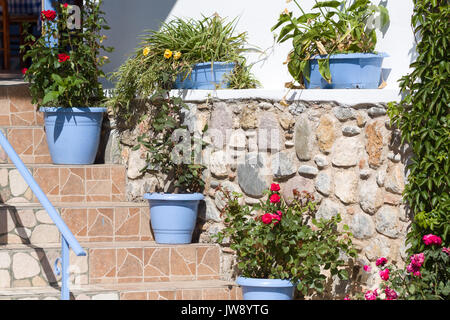 Les pots de fleurs sur les escaliers par mur en pierre. Banque D'Images