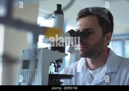 Faire des étudiants de l'université expérience sur microscope in laboratory au collège Banque D'Images