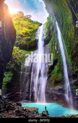 Madakaripura Cascade est la plus haute cascade dans Java et la deuxième plus haute cascade dans l'Indonésie. Banque D'Images