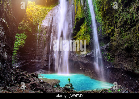 Madakaripura Cascade est la plus haute cascade dans Java et la deuxième plus haute cascade dans l'Indonésie. Banque D'Images