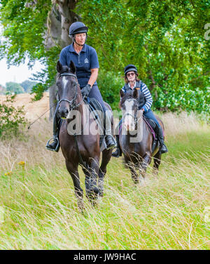 Deux dames à cheval chevaux sur un jour d'été Banque D'Images