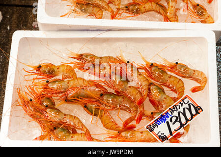 Le Japon, Kanazawa. Aliments frais Omi-cho marché couvert. Décrochage du poisson frais. Grandes crevettes roses en vente pour 13 000 yens. Banque D'Images