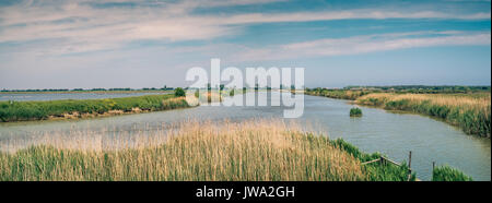 Vue panoramique sur le Parc Régional du Delta du Pô. Province de Ravenne, Émilie-Romagne, Italie. Banque D'Images