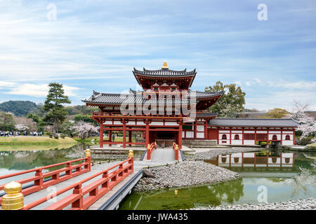 Temple Byodo-in dans Uji, Kyoto, Japon au printemps. Cerisiers en fleurs à Kyoto, au Japon. Banque D'Images