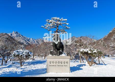 SEORAKSAN, CORÉE - 7 Février : le Parc National de Seoraksan en hiver Emplacement sur Gangwon, en Corée du Sud le 7 février 2016. Banque D'Images