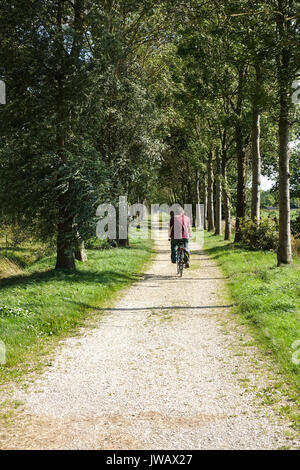 Vélo homme, bordée d'un chemin de terre dans la région de Dal van de Roode Beek, zones humides, prairies, réserve naturelle de Cuijk, Limbourg, Pays-Bas. Banque D'Images