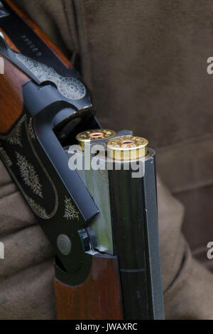 Hunter's open double fusil pause avec deux petits-shot / cartouches cartouches de fusil de chasse Banque D'Images