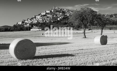 Noir et blanc voir Trevi Ombrie (Italie) au cours de l'été avec des balles de foin. Le format paysage. Banque D'Images
