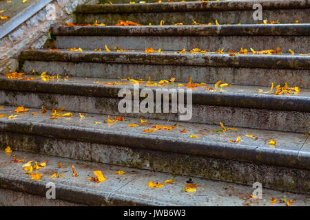 Ancien escalier de pierre recouvert de feuilles jaune tombé Banque D'Images