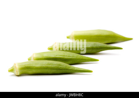 Gombo vert frais du jardin gousses Banque D'Images