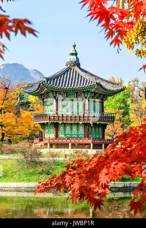 Gyeongbukgung et érable à l'automne en Corée. Banque D'Images