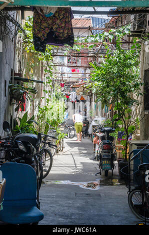 Une ruelle à Shanghai avec des plantes en pots et de scooters électriques en stationnement. Banque D'Images