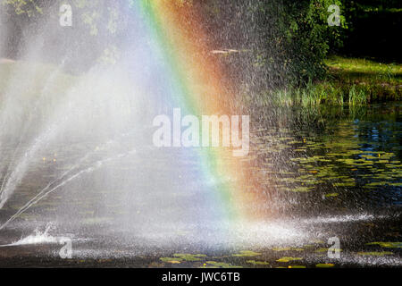 Arc-en-ciel de couleurs sur l'étang vue rapprochée Banque D'Images