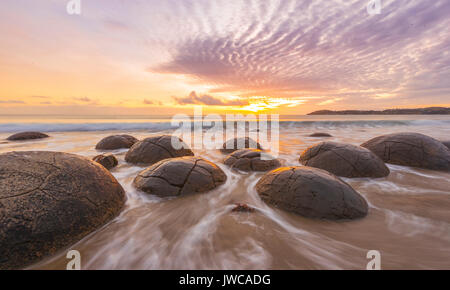 Moeraki Boulders, au lever du soleil, formation géologique, Koekohe Plage, Moeraki, Côte Est, Otago, île du Sud, Nouvelle-Zélande Banque D'Images