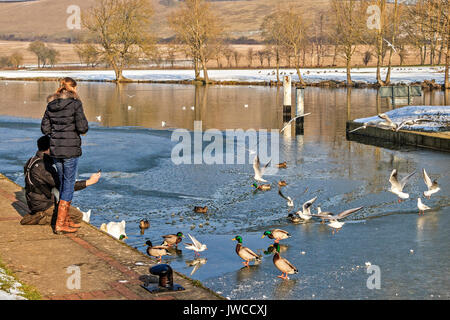 Nourrir les oiseaux en hiver Berkshire UK Banque D'Images