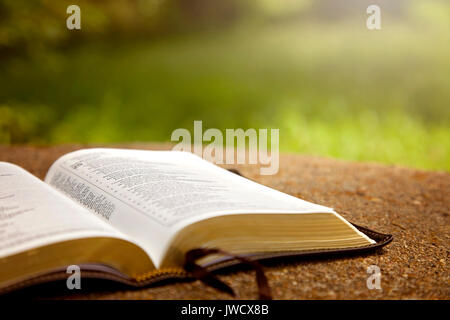 Une Bible ouverte sur une table dans un jardin verdoyant Banque D'Images