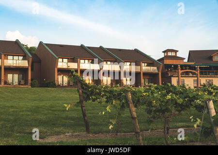 Bâtiments de l'hôtel sous un ciel bleu avec vigne en premier plan Banque D'Images
