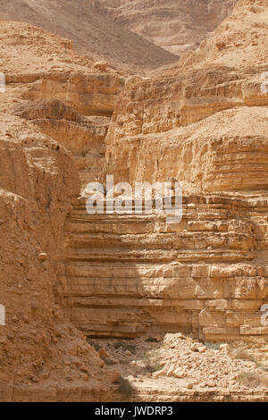 Paysages étonnants d'Israël, vues sur la Terre Sainte Banque D'Images