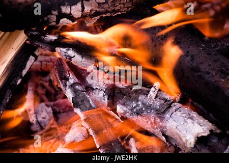 Un feu brûlant en vacances pendant une randonnée dans la forêt. Divorcé(e) pour la cuisson et pour garder au chaud dans le froid le soir. Banque D'Images