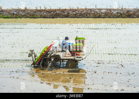 Séoul, Corée du Sud - 17 mai : la culture du riz par le riz transplanter à Séoul. Photos prises le Mai 17,2015 à Séoul, Corée du Sud. Banque D'Images