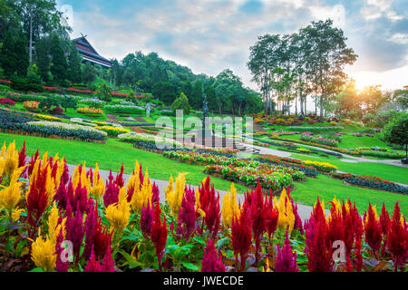 Jardin de fleurs, jardin Mae Fah Luang localiser sur Doi Tung à Chiang Rai, Thaïlande. Banque D'Images