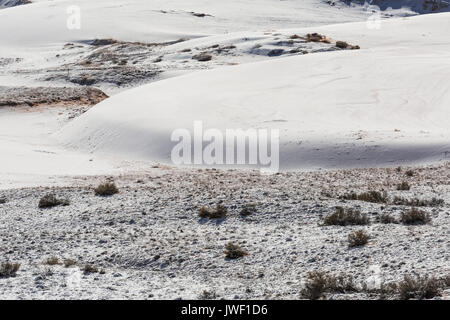 Après un paysage de dunes de neige de printemps à Coral Pink Sand Dunes State Park, Utah, USA Banque D'Images