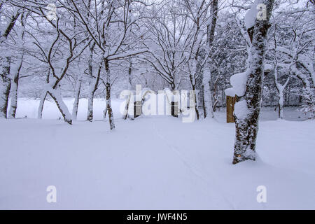 La neige qui tombe en parc et un pont pour piétons en hiver, paysage d'hiver. Banque D'Images