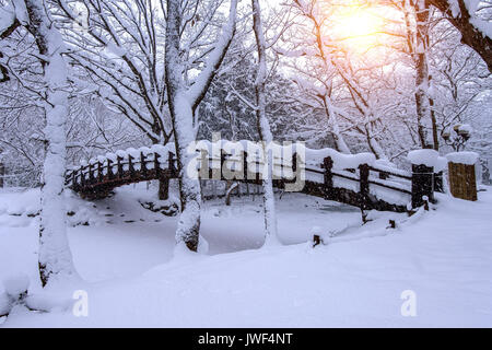 La neige qui tombe en parc et un pont pour piétons en hiver, paysage d'hiver. Banque D'Images