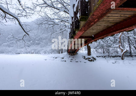 La neige qui tombe en parc et un pont pour piétons en hiver, paysage d'hiver. Banque D'Images