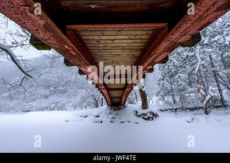 La neige qui tombe en parc et un pont pour piétons en hiver, paysage d'hiver. Banque D'Images