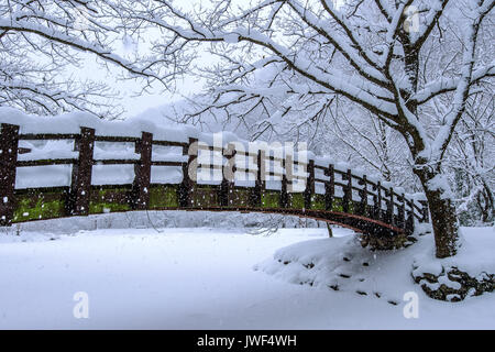 La neige qui tombe en parc et un pont pour piétons en hiver, paysage d'hiver. Banque D'Images