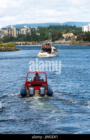 Croisière d'observation des baleines bateaux remplis d'arrière-port de Victoria aux passagers au départ de l'île de Vancouver, British Columbia Canada Banque D'Images