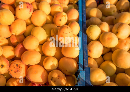 Les abricots frais sur le marché de rue Banque D'Images