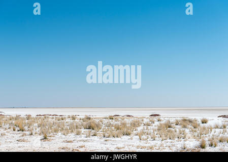 L'Etosha est un grand pan de sel endoréiques dans le Nord de la Namibie, qui couvre environ 4800 km2 Banque D'Images