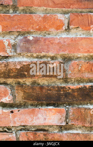 Close up briques mur grunge texture background brown Banque D'Images