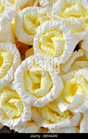 Fleurs artificielles sont des imitations de plantes naturelles, utilisés à des fins commerciales ou résidentielle décoration. Banque D'Images