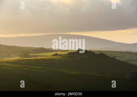 Haytor, Dartmoor, Devon, UK. 12 août 2017. Météo britannique. La vue de Haytor à vers Hound Tor dans le Parc National de Darmoor, Devon sur une chaude soirée ensoleillée. Crédit photo : Graham Hunt/Alamy Live News Banque D'Images