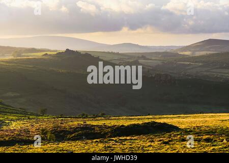 Haytor, Dartmoor, Devon, UK. 12 août 2017. Météo britannique. La vue de Haytor à vers Hound Tor dans le Parc National de Darmoor, Devon sur une chaude soirée ensoleillée. Crédit photo : Graham Hunt/Alamy Live News Banque D'Images