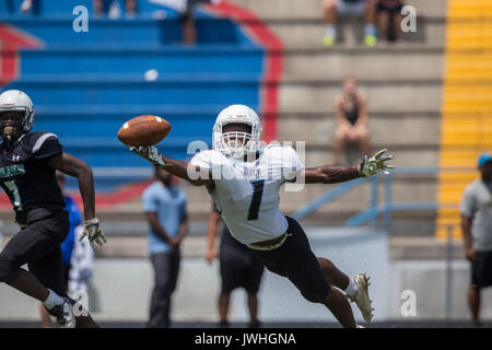 En Floride, aux États-Unis. 12Th Aug 2017. CHARLIE | THOMAS FINN fois.Nature Coast slotback Dontay retour Washington, 1 plongées, pour des captures au cours de l'Affrontement 4 football scrimmage Clayton et un collecteur à Springstead High School de Spring Hill, en Floride, le samedi, 12 août, 2017. Crédit : Charlie Thomas Finn/Tampa Bay Times/ZUMA/Alamy Fil Live News Banque D'Images