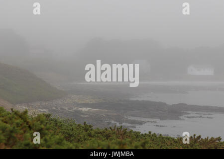 L'île de la carcasse dans la brume Banque D'Images