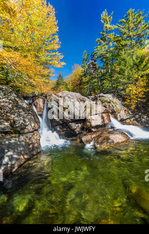 Cascade sur la rivière Ellis en aval de Glen Ellis Falls, Carroll Co., White Mountain National Forest, NH Banque D'Images