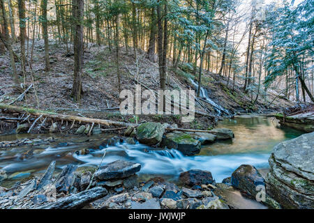Stoddard Creek et Bridal Veil Falls au début du printemps, Allegany State Park, Cattaraugus Co., NY Banque D'Images
