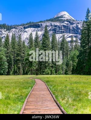 Renforcement en bois dans les prés du chemin de Yosémite. Ce chemin vous transporte sur la prairie où il y a beaucoup d'eau stagnante Banque D'Images