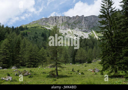 Pré alpin avec des pics à l'arrière-plan Banque D'Images