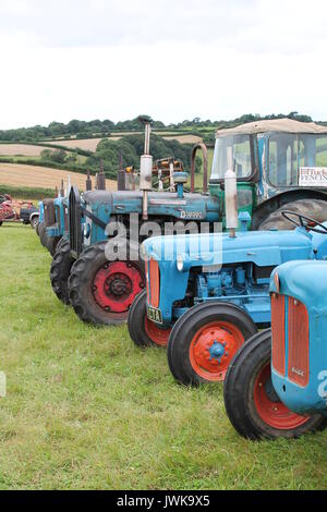 Rangée de vieux tracteurs bleu vintage à un salon de l'agriculture dans le Devon. Banque D'Images